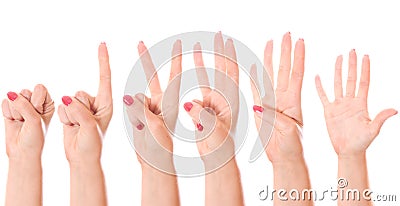 Counting hands (0 to 5) Stock Photo