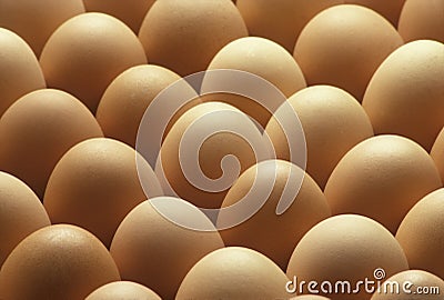 Country brown eggs lined up Stock Photo