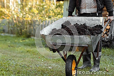 Country car with fertilizer, planting season. Planting vegetables Stock Photo