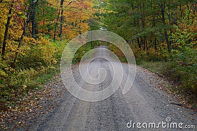 Country Dirt Road Stock Photo