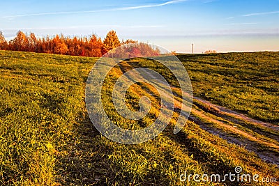 A country dirt road through a green meadow leads to a grove of autumn trees with bright red foliage Stock Photo