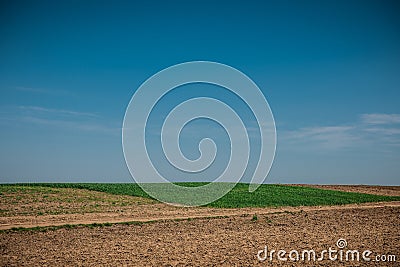 Unworked field with wheel tracks in spring near wheat land. Dirt texture with blue sky. Country dirt field texture. Stock Photo