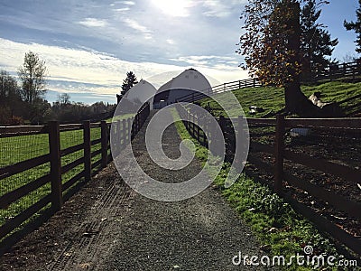 Country Farm Stock Photo