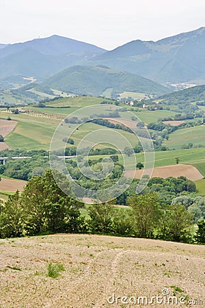 Country landscape in Marche, Italy Stock Photo