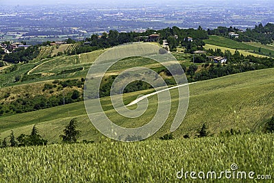 Country landscape near Meldola and Predappio, Emilia-Romagna Stock Photo