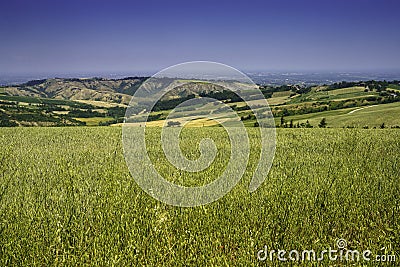 Country landscape near Meldola and Predappio, Emilia-Romagna Stock Photo