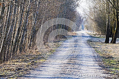 Country lane in early spring Stock Photo