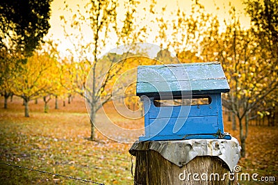 Country Letterbox Stock Photo