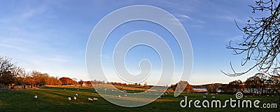 Country life - farm field with sheep - Panorama Picture Stock Photo