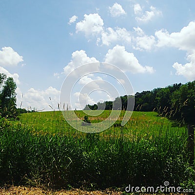 Country Living is the life Stock Photo