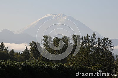 View of the Mount Rainier from valley in washington usa Stock Photo