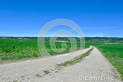 Country road between agricultural fields of vivid green colours at spring in Huesca province, Aragon, Spain. Concepts of way, path Stock Photo