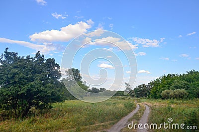 Country road. Beautiful landscape Stock Photo