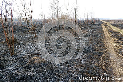 Country road through a burnt forest and grass wildfire image. Save the Earth, preserve forests, keep nature, protect trees, Stock Photo