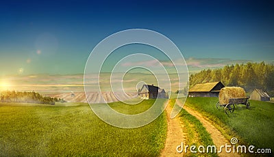 Country road in the field leading to the farm holdings Stock Photo