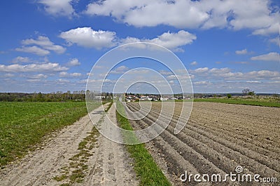 A country road among the fields Stock Photo