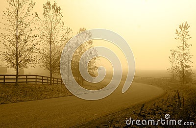 Country road in morning haze. Stock Photo