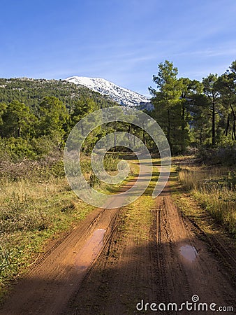 A country road in a pine forest on the Greek island of Evia with a view of mount Dirfys in the snow in Greece on a Sunny winter da Stock Photo