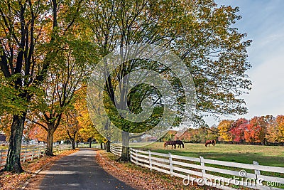 Country Road in rural Maryland during Autumn Stock Photo