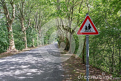 Country road with a school warning sign between huge green leafy trees Stock Photo