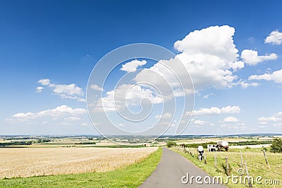 Country Road And Summer Landscape, Germany Stock Photo