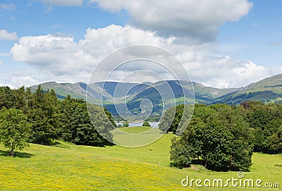 Country scene Langdale Valley and mountains from Wray Castle Lake District Cumbria uk Stock Photo