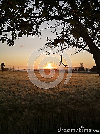 Country side of finland Stock Photo