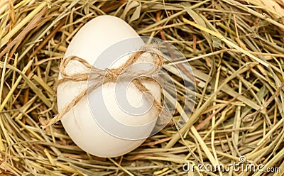 Country style easter egg in hay with bowknot Stock Photo