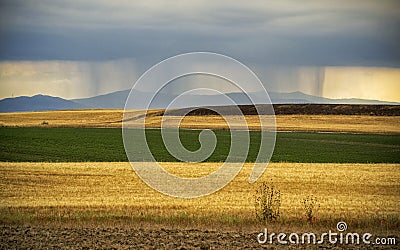 Country thunderstorm, field yellow and green Stock Photo