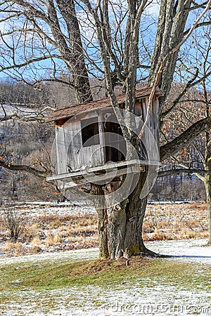 Country Tree house in the early Spring. Stock Photo