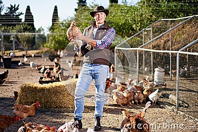 Countryman holding brown chicken in hands in hen house Stock Photo