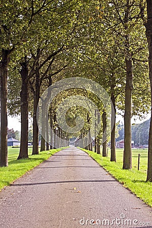 Countryroad in the Netherlands Stock Photo