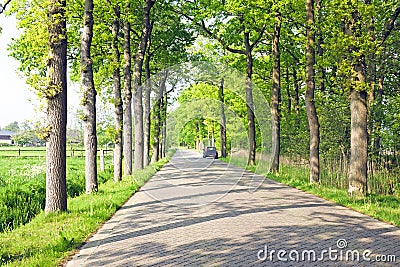 Countryroad in Netherlands Stock Photo