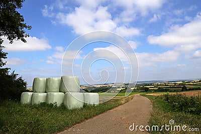Countryside field with hay bale wrapped in plastic Stock Photo