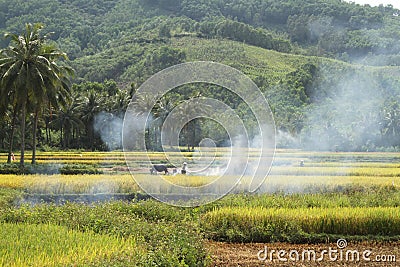 Countryside Stock Photo