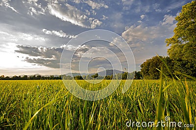 Countryside landscape Stock Photo