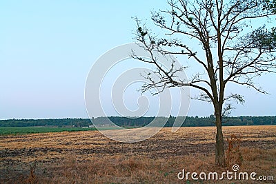 Countryside landscape Stock Photo