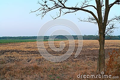 Countryside landscape Stock Photo