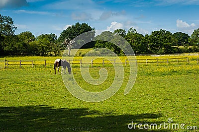 Countryside landscape Stock Photo