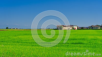 Countryside near Vercelli, Italy, at summer Stock Photo