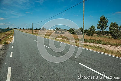 Countryside paved road and electric poles Stock Photo