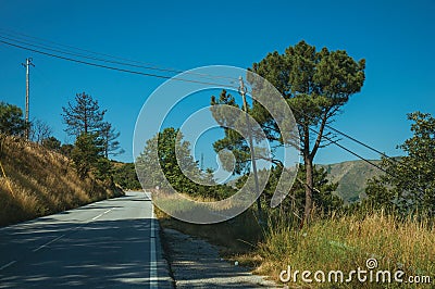 Countryside paved road passing through hilly landscape Stock Photo