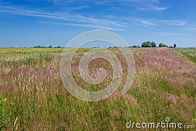 Countryside in Poland Stock Photo