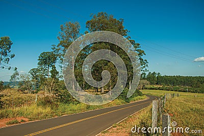 Countryside road on landscape covered by meadows and trees Editorial Stock Photo