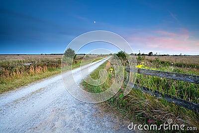 Countryside road in moonlight Stock Photo