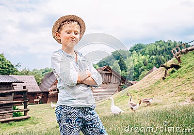Countryside scene : Boy shepherd geese Stock Photo