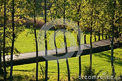 Countryside street at Rive D Arcano Stock Photo