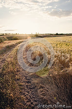 Countryside at sunset Stock Photo