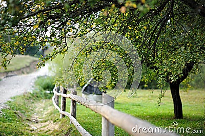 Countryside view with a fence and a tree Stock Photo