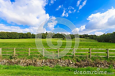 Countryside view of green field. Nature landscape Stock Photo